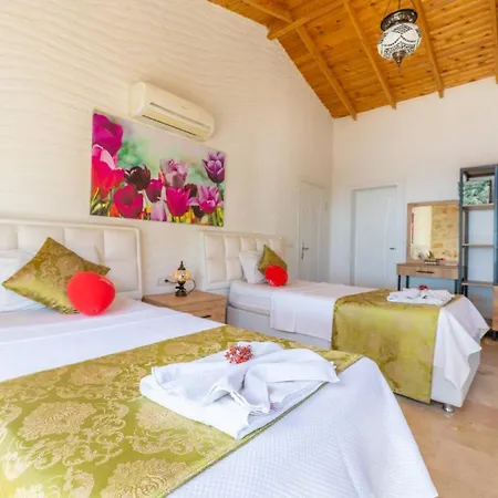 Villa Islamlar Village 2 Bedroom - 1006 *